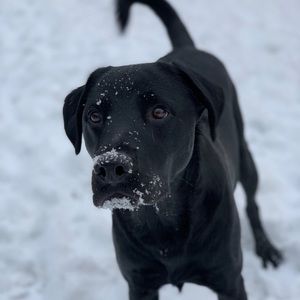 Meet your Posher, Austin